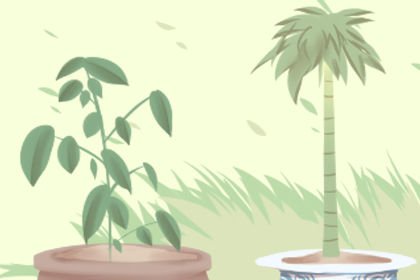 家裡催財旺運養什麼植物