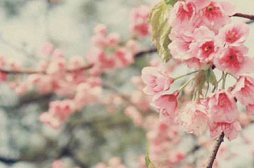 屬羊女手機號最吉利的數字是什麼 帶財的熱門號碼