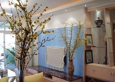 家居中養花的風水有何講究