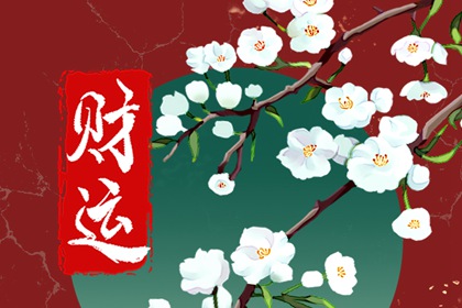 店裡擺什麼擺件最招財 財富運勢意想不到