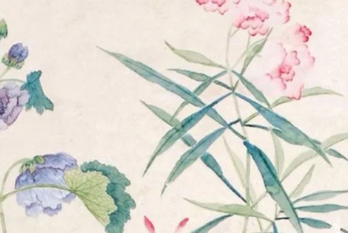 豹子號車牌555 盤點熱門招財的車牌號碼