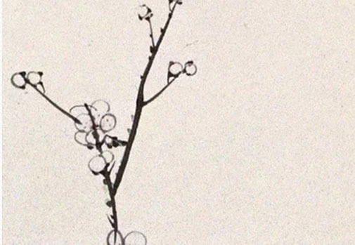 測試車牌號碼值多少錢 最准車牌號碼吉凶判斷