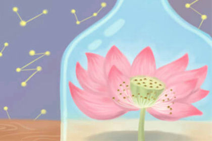 旺財關鍵點：家中財位能放發財樹嗎