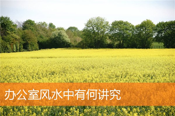 辦公室風水中有何講究