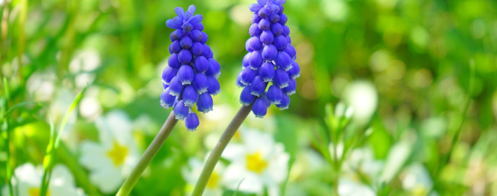 風水坊：民間嫁娶我們如何辟邪