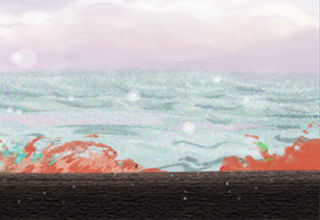 家裡放什麼利於招財?一招get!