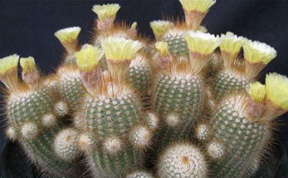 為什麼買房忌買正對大街衚衕？如何從風水角度選房子？