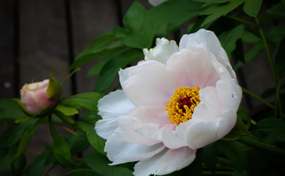 為什麼很努力還是窮？真的是風水有問題嗎？