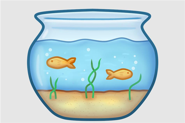 家宅風水魚缸講究什麼