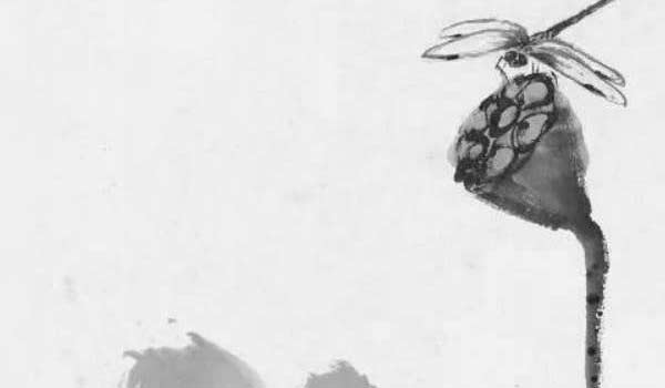 客廳植物怎麼擺放