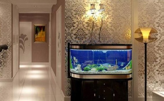 客廳魚缸的最佳擺放圖