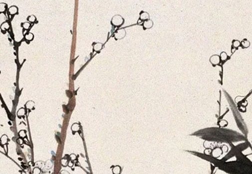 車牌8888轉讓 五行看最旺運車牌號碼