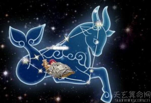 1月13日生日書是什麼星座(摩羯座)生日花西洋紅豆杉