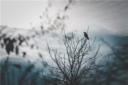 無事牌什麼人不能戴 佩戴有哪些注意事項