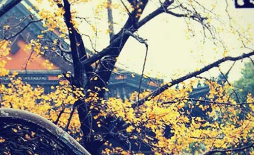 農歷生日看一生財運 財運最好的農歷生日