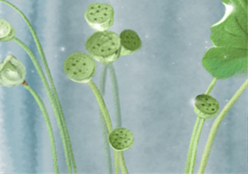 10大風水禁忌，你知道多少？