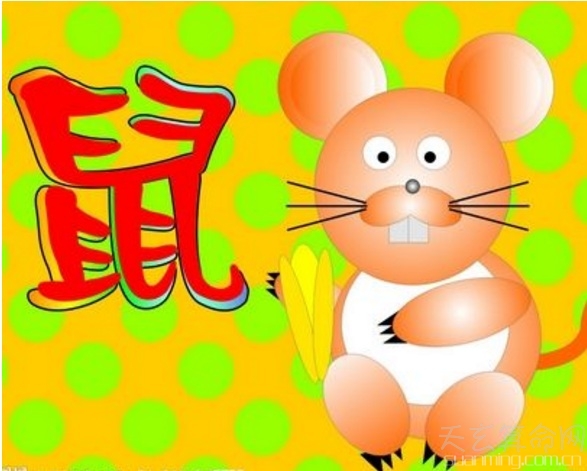 屬鼠人出生日的命運  屬鼠人出生比較好的日子和時辰解析