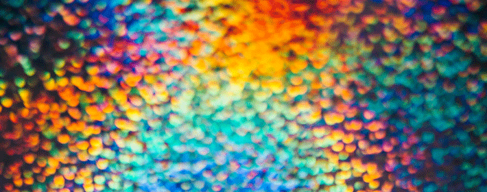 怎麼選客廳風水植物？