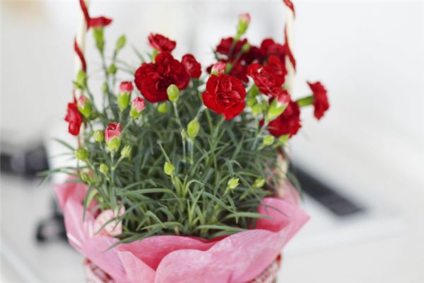 2013年五黃煞如何化解