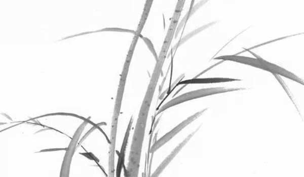 玄關什麼圖案風水好