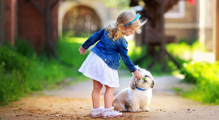 從風水看你家適合養貓狗嗎？