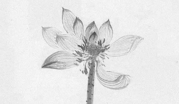 魚缸放客廳哪裡最合適 驅邪化煞招財進寶