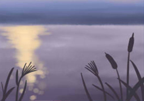 哪些女命最受老公疼愛