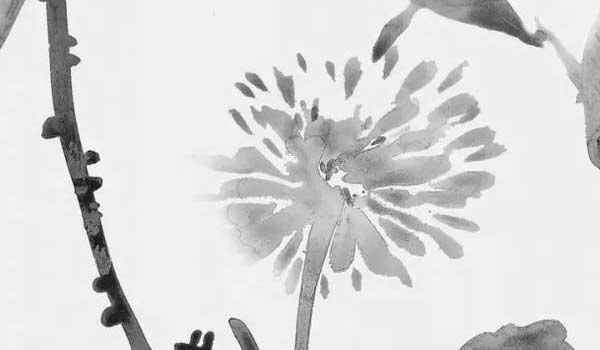 風水裝修房子什麼顏色最聚財