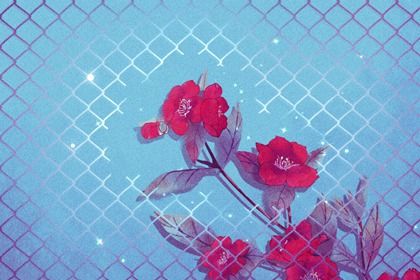 催桃花運最快的方法帶什麼飾品 催桃花運用什麼方法