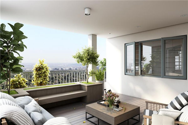 適合陽颱風水植物