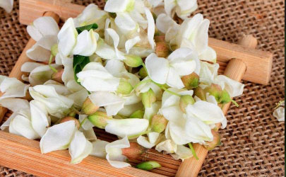 家裡什麼方位旺兒子？什麼風水能夠旺孩子學業？