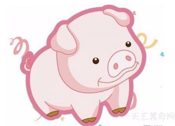 屬豬人出生日的命運   屬豬人哪天出生比較好