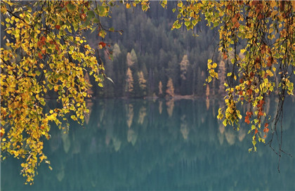 西戶客廳電視牆在哪面 電視牆方位怎麼選