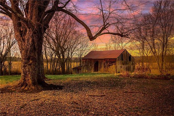 房子風水八個方位的重要性知多少?