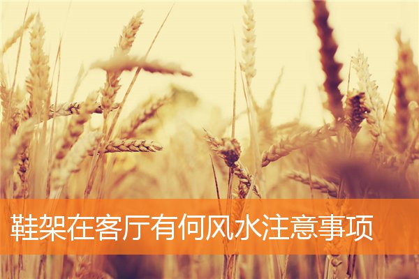 鞋架在客廳有何風水注意事項