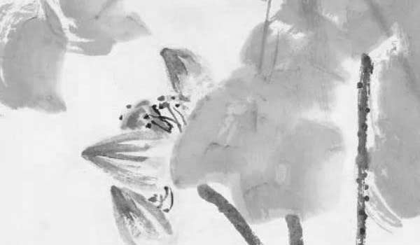 客廳植物怎麼擺放