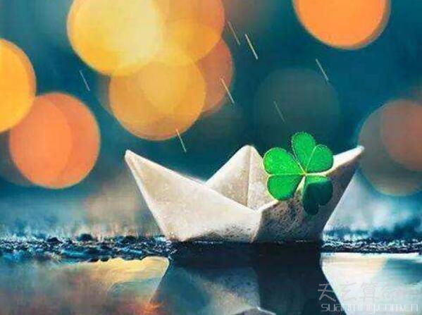 3月1日生日書 3月1號出生人的性格 不向壓力屈服