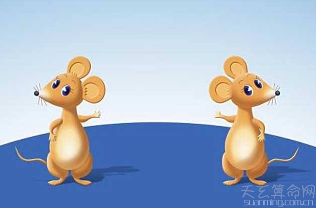 屬鼠人出生日的命運  屬鼠人出生比較好的日子和時辰解析