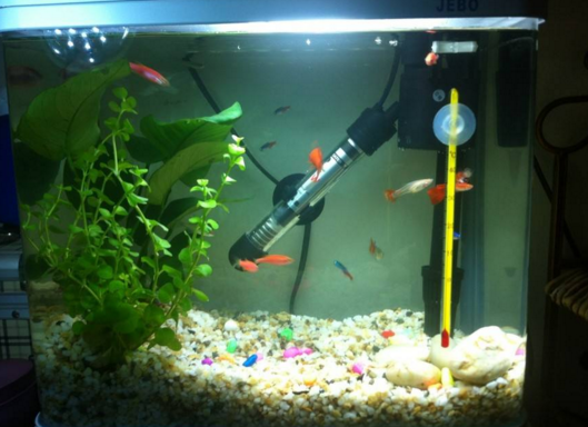 魚缸的風水位置有哪些