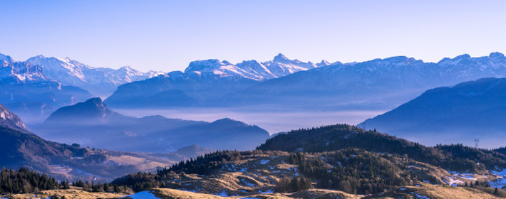 家裡養魚？千萬不要把魚缸擺錯