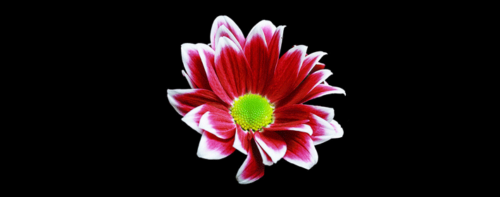 魚缸擺放的風水細節,擺對了人財兩旺