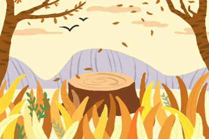 貔貅和金蟾能放一起嗎?招財不衝突