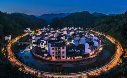 家裡有蜂窩吉利嗎？哪些動物進家是吉兆？