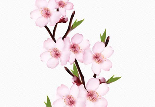 木命手機號碼44444 順口吉祥的號碼靚號