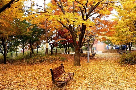 家中財神爺應該怎麼擺？財神擺放的風水禁忌有哪些？