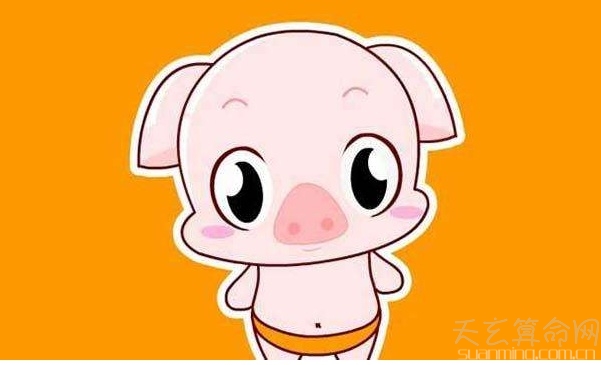 屬豬人出生日的命運   屬豬人哪天出生比較好