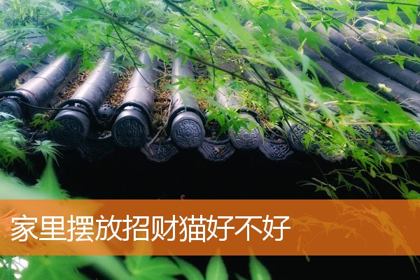 家裡擺放招財貓好不好