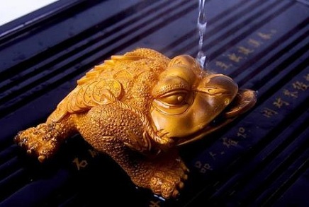 蟾蜍在家裡怎麼擺放位置？蟾蜍的風水作用是什麼？