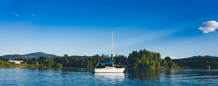 辦公室擺放植物有什麼風水講究