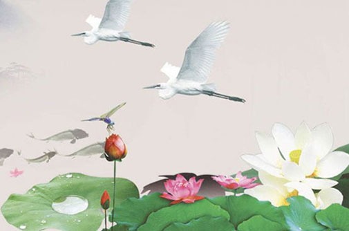 全國各地區車牌號簡稱及字母 自選網選車牌號碼技巧